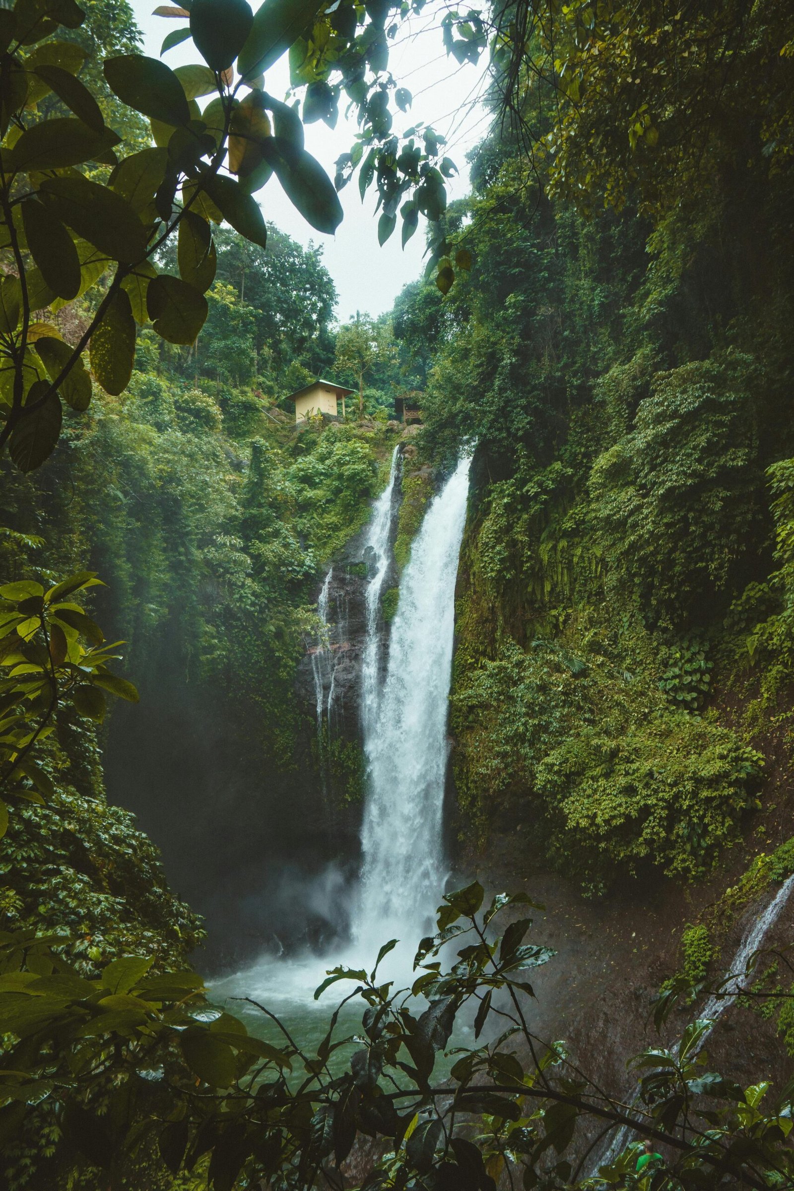 Ubud bali 