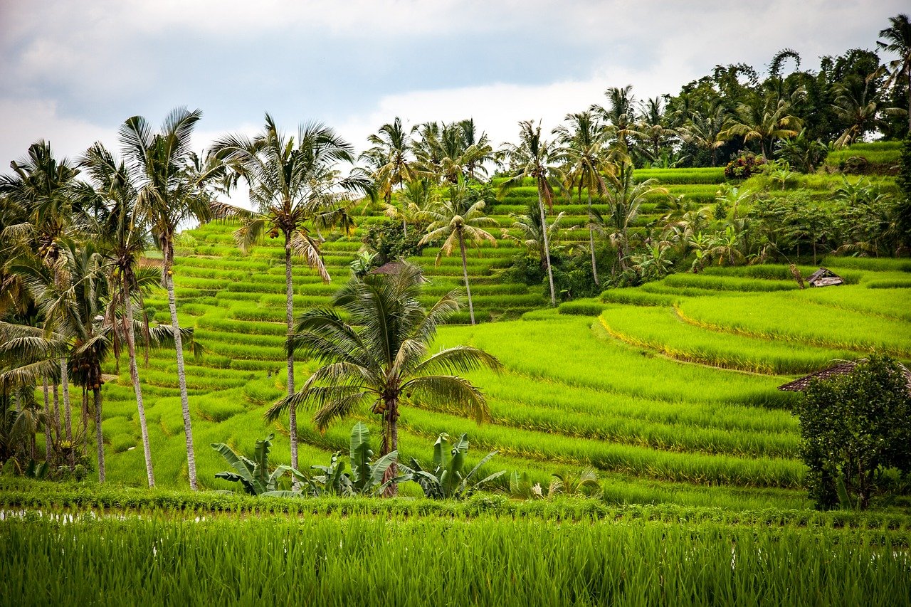 Bali Trip Package