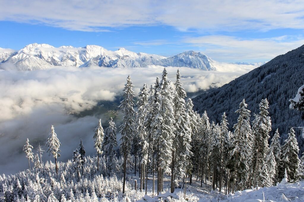 places to visit in January