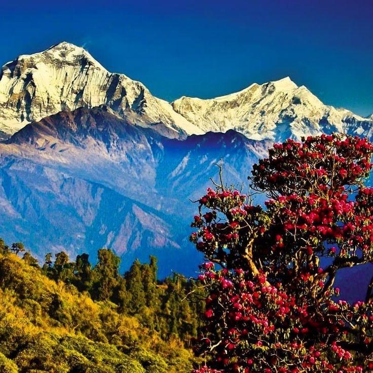 tung nath trek